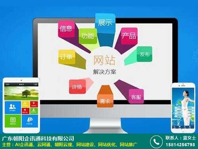 廣州專業(yè)網(wǎng)站建設(shè)服務(wù)商 朝陽企訊通網(wǎng)站設(shè)計服務(wù)